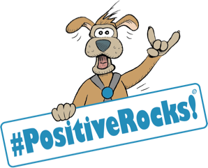 Positive Rocks