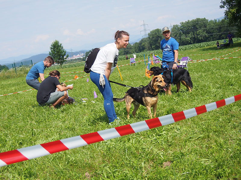 respekTIERt Dogs Escape - Das Exit Game für Mensch und Hund
