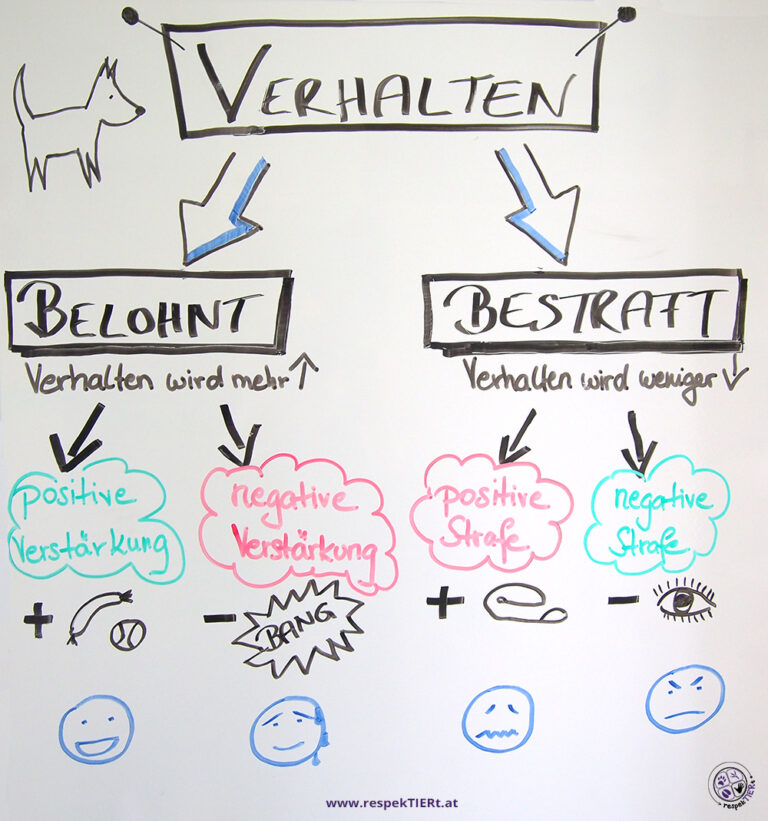Operante Und Klassische Konditionierung Reihe Lerntheorie 2 - Operante Konditionierung - respekTIERt