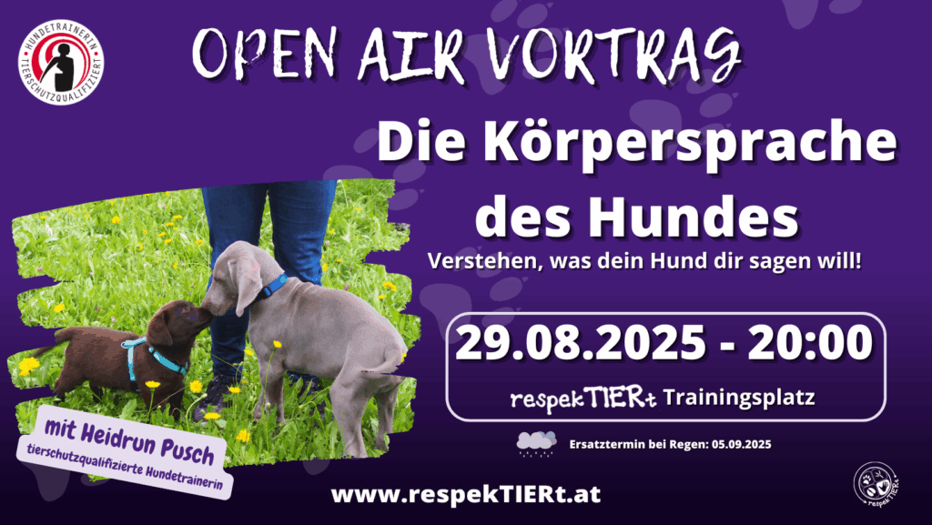Die Körpersprache des Hundes Open Air