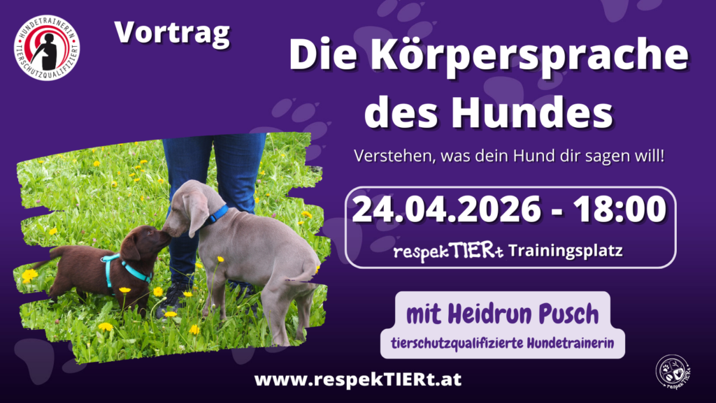 Die Körpersprache des Hundes Live